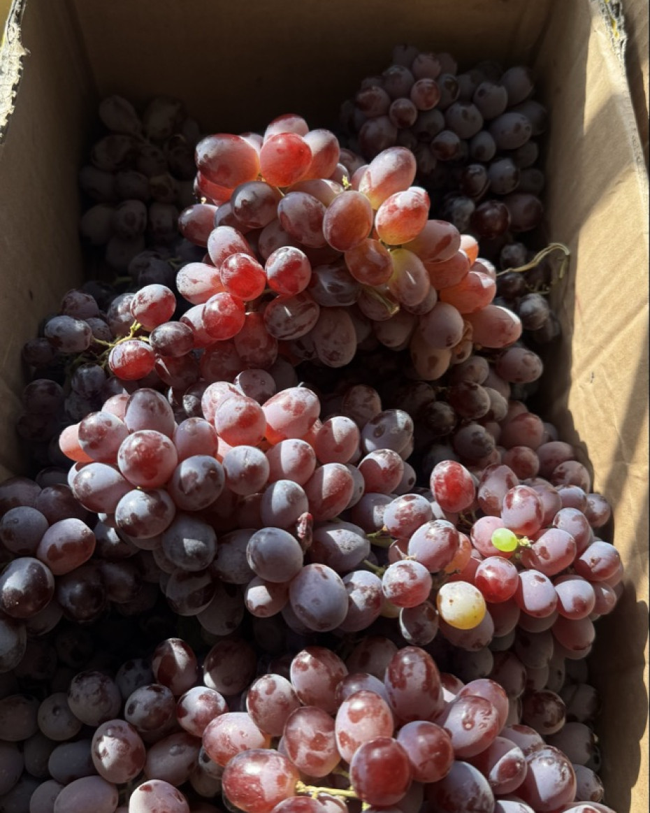 Seedless Red Grapes - 250grams