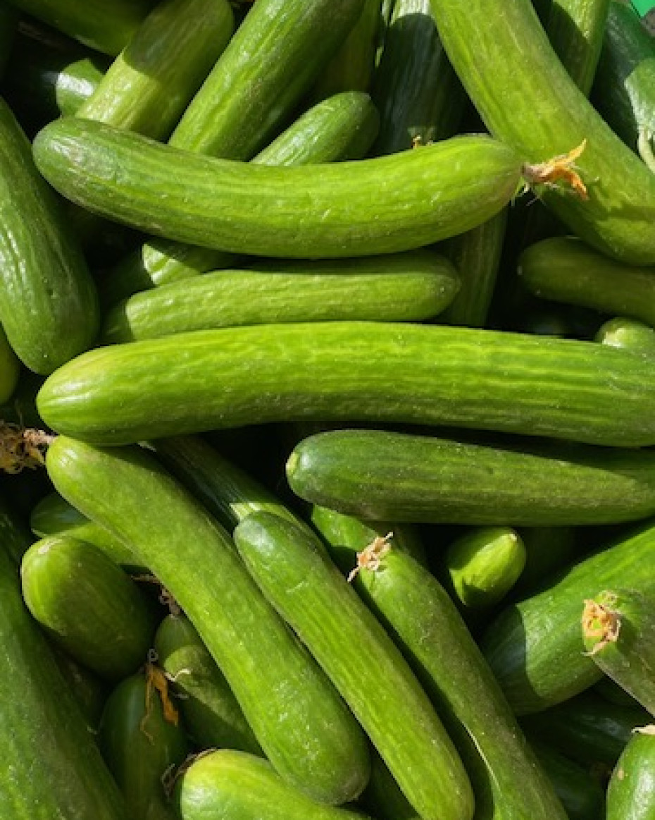 Baby Cucumber - 1kg