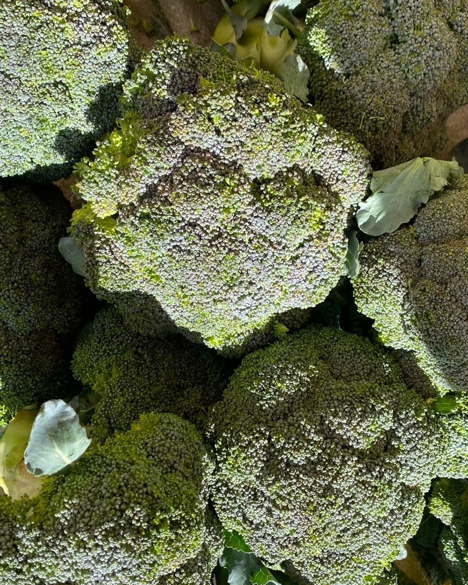 Fresh Broccoli