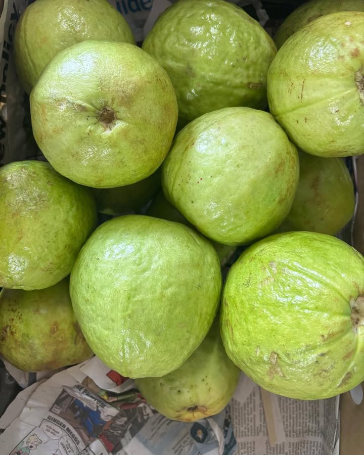 Guava